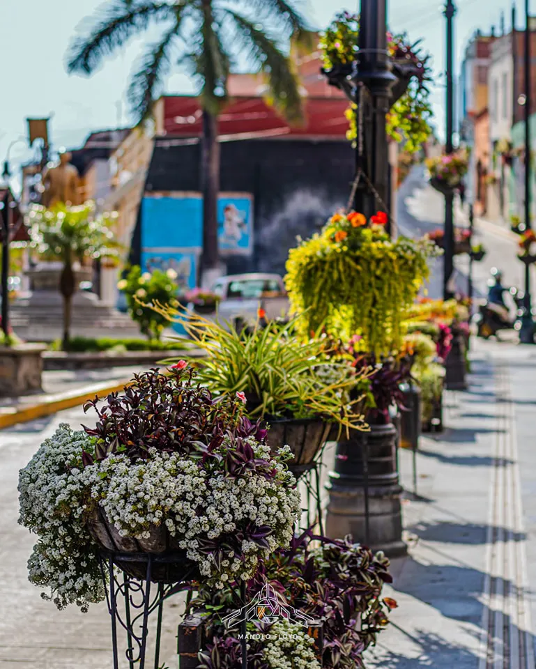 Avenida Hidalgo - en Atlixco